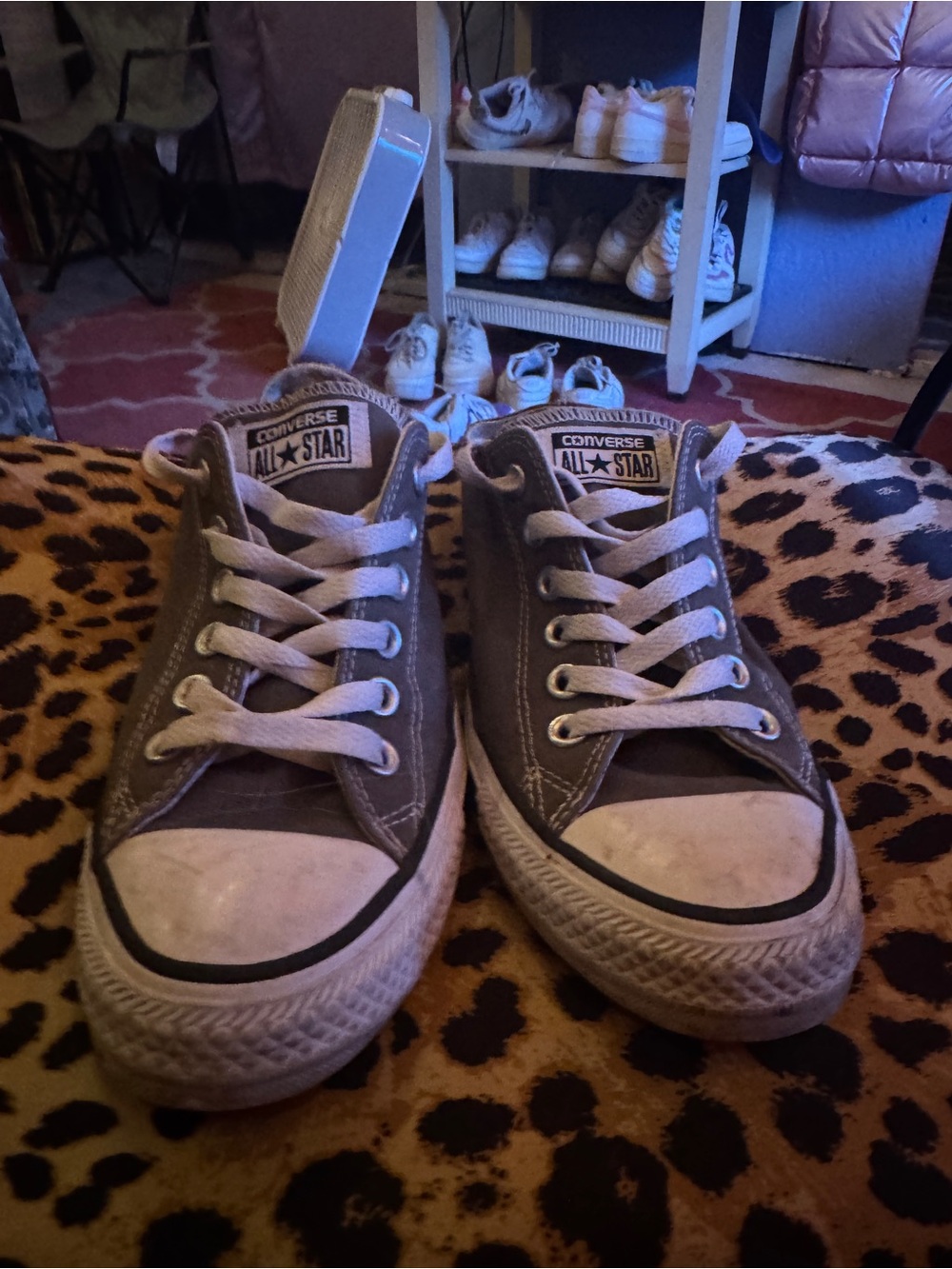 Converse All Star Low Top Sneakers - Gray with White